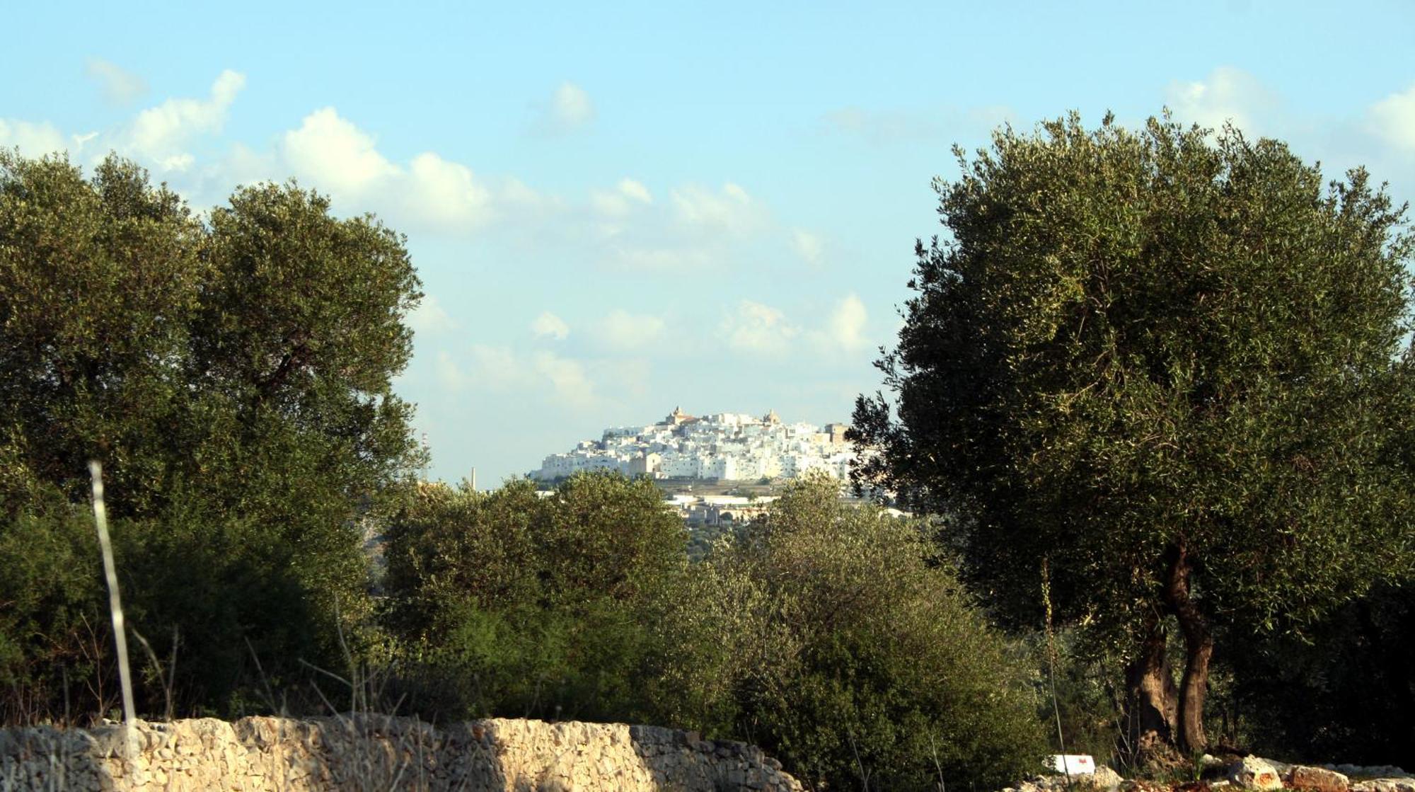 Masseria Morrone Ostuni Exterior foto